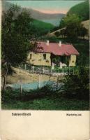 1917 Szklenófürdő, Sklené Teplice; Marietta lak. Fürdőigazgatóság kiadása / villa (Rb)