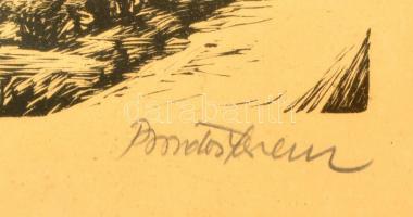 Bordás Ferenc (1911-1982): Rákóczi vár, fametszet, papír, jelzett, üvegezett keretben, 36×25 cm