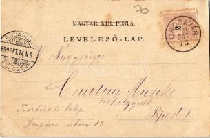 1899 Oroszvár, Karlburg, Rusovce (Pozsony, Pressburg, Bratislava); Schloss, Hauptstrasse, Edelhof, G...