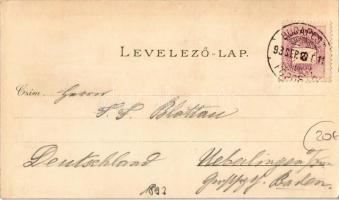 1893 (?) Budapest, Királyi vár és várbazár, Lánchíd. Ottmar Zieher floral, litho