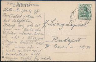 1910 Lóczy Lajos (geológus, 1849-1920) saját kézzel írt levelezőlapja fiának Halléből