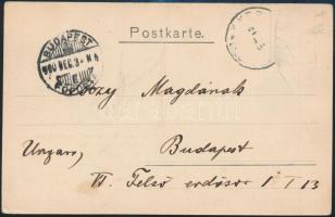 1910 Lóczy Lajos (geológus, 1849-1920) saját kézzel írt levelezőlapja nővérének, a képeslapon Zeppelin