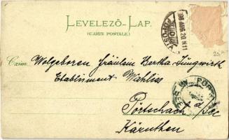 1898 (Vorläufer!) Budapest, Igazságügyi palota, M. kir. Dalszínház. F. Schmuck Art Nouveau, floral, ...
