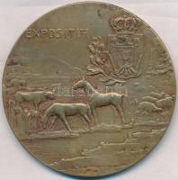 Románia ~1920-1940. "Agrárkamara / Kiállítás" aranyozott Br emlékérem (59mm) T:2,2- ph.
R...