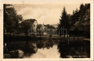1932 Pöllau, Au-Teich / pond