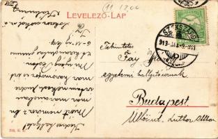 1913 Szekszárd, Takarékpénztár. W.L. 766