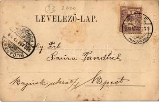 1900 Fiume, Rijeka; Via Porto / street (small tear)