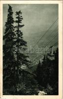 1928 Reichenau an der Rax, Raxbahn, An der Grenze des Bergwaldes / cable car, mountain forest + Oesterr. Bergbahnen A. G. Raxbahn cancellation