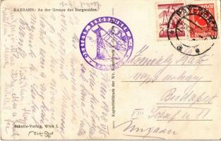 1928 Reichenau an der Rax, Raxbahn, An der Grenze des Bergwaldes / cable car, mountain forest + &quo...