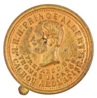 cca 1880 'HRH Prince Albert's Cachou Aromatise, Prepared by Thomas Jackson.'/'Sw...