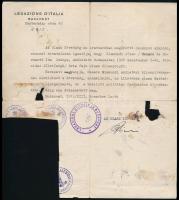 cca 1940-1981 Vegyes konzuli papírok (állampolgársági igazolás, köszönőkártyák, stb.), 7 db