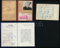 Vegyes kis igazolvány tétel, közte útlevéllel, összesen 10 db