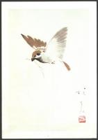 Távol-keleti madár illusztráció, színes nyomat, 34x24 cm