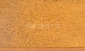 850 magyar utazó látogatása Kossuth Lajosnál Turinban, 1889. julius hó 5-én. Nagyméretű keményhátú f...