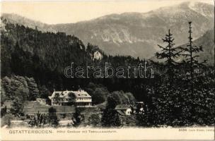 Admont, Gstatterboden, Hotel Gesause mit Tamischbachturm / national park, hotel, mountain
