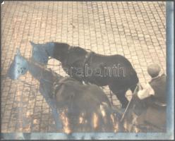 cca 1940 Jelzés nélkül: Kocsis. VIntage fotóművészeti alkotás. 29x23 cm