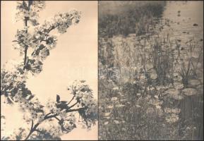 55 db nagyméretű, művészi igényű fényképfelvétel az 1940-es évekből. Életképek, csendéletek, városré...