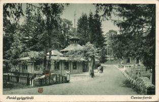 Parád-gyógyfürdő