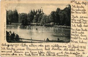 1898 Graz, Hilmteich / park (creases)