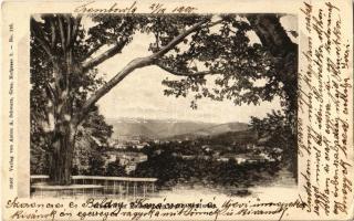 1900 Graz vom Ruckerlberg / general view
