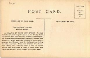 A killing of cows and spikes