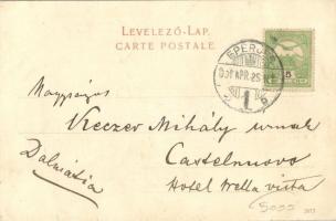 1907 Nagysáros, Velky Saris (Eperjes, Presov); II. Rákóczy Ferenc kastélya és lépcsőháza (jobb oldal...