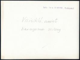 cca 1933 Kinszki Imre (1901-1945) budapesti fotóművész pecséttel jelzett vintage fotóművészeti alkot...