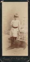 cca 1910 Nagybánya, Ürmösi S. fényképész műtermében készült vintage fotó (kislány nagy kutyával), a sarkok kopottak, 21x10 cm