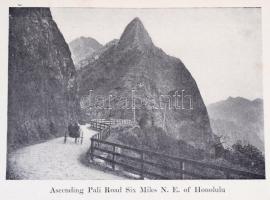 Jr. William R. Castle: Hawaii Past and Present. New York, 1914, Dodd, Mead and Co. Angol nyelven. Eg...