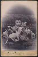 cca 1900 Zolika 4 kiskutyával, kabinetfotó méretű, vintage fénykép, viseltes állapotban, 16x10,5 cm
