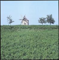 1985 Tés, szélmalom, 13 db professzionális minőségű, vintage diapozitív felvétel, amelyek szabadon f...