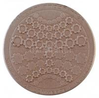 Izrael 1974. "Izraeli Gyémántexport" jelzett Ag emlékérem eredeti dísztokban (47,12g/0.935...