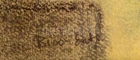 Bíró Eszter (1957-): Táncosnő a Déri téren. Pasztell, papír, jelzett, üvegezett keretben, 35×25 cm