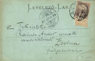 1901 Lőcse, Levoca; Lőcsei fehér asszony. Patz Emil kiadása / Julianna Géczy, floral  (EK)