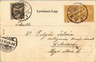 1902 Budapest, Lánchíd és Bazilika. Címeres szecessziós litho keret / Art Nouveau litho frame with c...