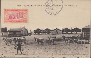 1916 Dakar, Les Abattoirs / slaughterhouses, cattle. TCV card