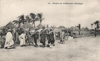 Saint-Louis, Guet N&#039;Dar, Route de N&#039;Dartout / road, soldiers, camels, folklore