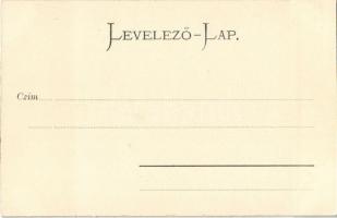 Késmárk, Kezmarok; Thököly vár, kastély / Schloss / castle