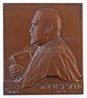 Csillag István (1881-1968) 1925. Dr. Hevesi Simon Br plakett (152,64g/61,5x70mm) T:2 / Hungary 1925. Simon Hevesi Dr. Br plaque. Sign.: István Csillag (152,64g/61,5x70mm) C:XF