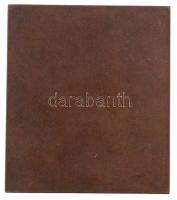 Csillag István (1881-1968) 1925. "Dr. Hevesi Simon" Br plakett (152,64g/61,5x70mm) T:2 / H...