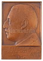 Szentgyörgyi István (1881-1939) 1928. Elnökének (Brüll Alfréd) ötvenedik születésnapja alkalmából a M.T.K. Br emlékplakett, hátlapon gravírozva (78x112mm) T:2