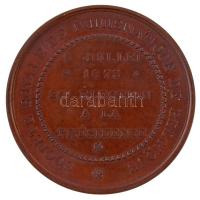 Belgium 1873. "Renier Chalon / Belga Numizmatikai Társaság elnökké avatása" Br emlékérem. ...