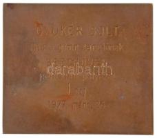 Ausztria 1909. "Ludwig van Beethoven" Br emlépkplakett hátoldalán névre szóló gravírozás. ...