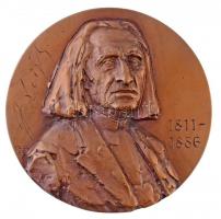 Gáti Gábor (1937- ) 1985. Liszt Ferenc 1811-1886 Br emlékplakett (100mm) T:1- Hungary 1985. Ferenc Liszt 1811-1886 Br commemorative plaque. Sign.: Gábor Gáti (100mm) C:AU