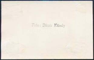Úttörővasút, fotó, hátulján pecséttel jelzett (Dánér Károly), 9×14 cm