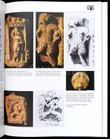 Georgina Herrmann: Perzsa reneszánsz. A múlt születése. Bp.,1988, Helikon. Kiadói egészvászon-kötés,...