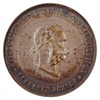 1883. I. Ferenc József / Szeged újjáépítésére ezüstözött Br emlékérem. SZEGED SZEBB LESZ MINT VOLT 1879 MÁRCZIUS 17-ÉN - I. FERENCZ JÓZSEF / PHÖNIXKÉNT ÚJJÁ SZÜLETETT MDCCCLXXIII (14,18g/38mm) T:2 fülnyom / Hungary 1883. Franz Joseph I / Reconstruction of Szeged silver plated Br commemorative medallion (14,18g/38mm) C:XF ear mark