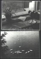 cca 1970 Vegyes fotó tétel: csendélet, életképek, utazás, stb., összesen 12 db nagyméretű fotó, egy részük hátulján feliratozva, 18×23,5 cm