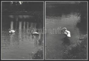 cca 1970 Vegyes fotó tétel: csendélet, életképek, utazás, stb., összesen 12 db nagyméretű fotó, egy ...