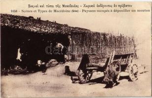Macedón folklór, Scenes et Types de Macédoine, Paysans occupés a dépouiller un mouton / peasants stripping a sheep, Macedonian folklore